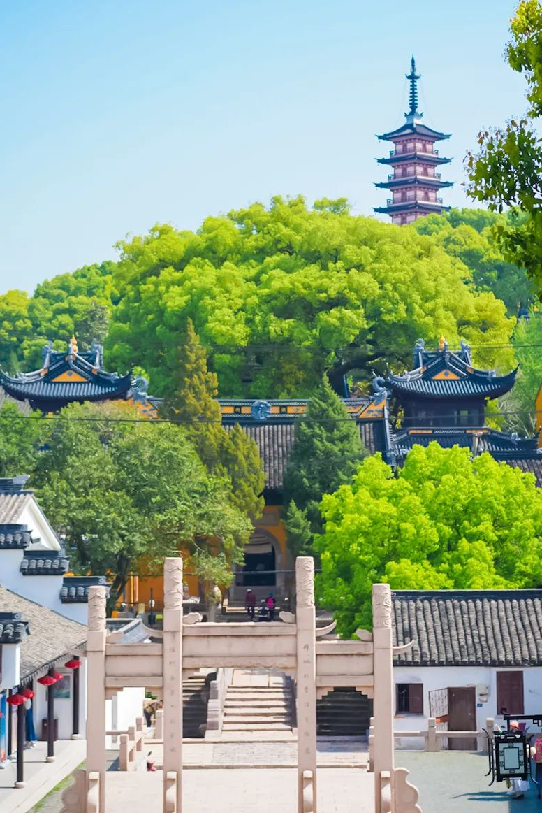 “古树”好乘凉，太湖林荫避暑指南！