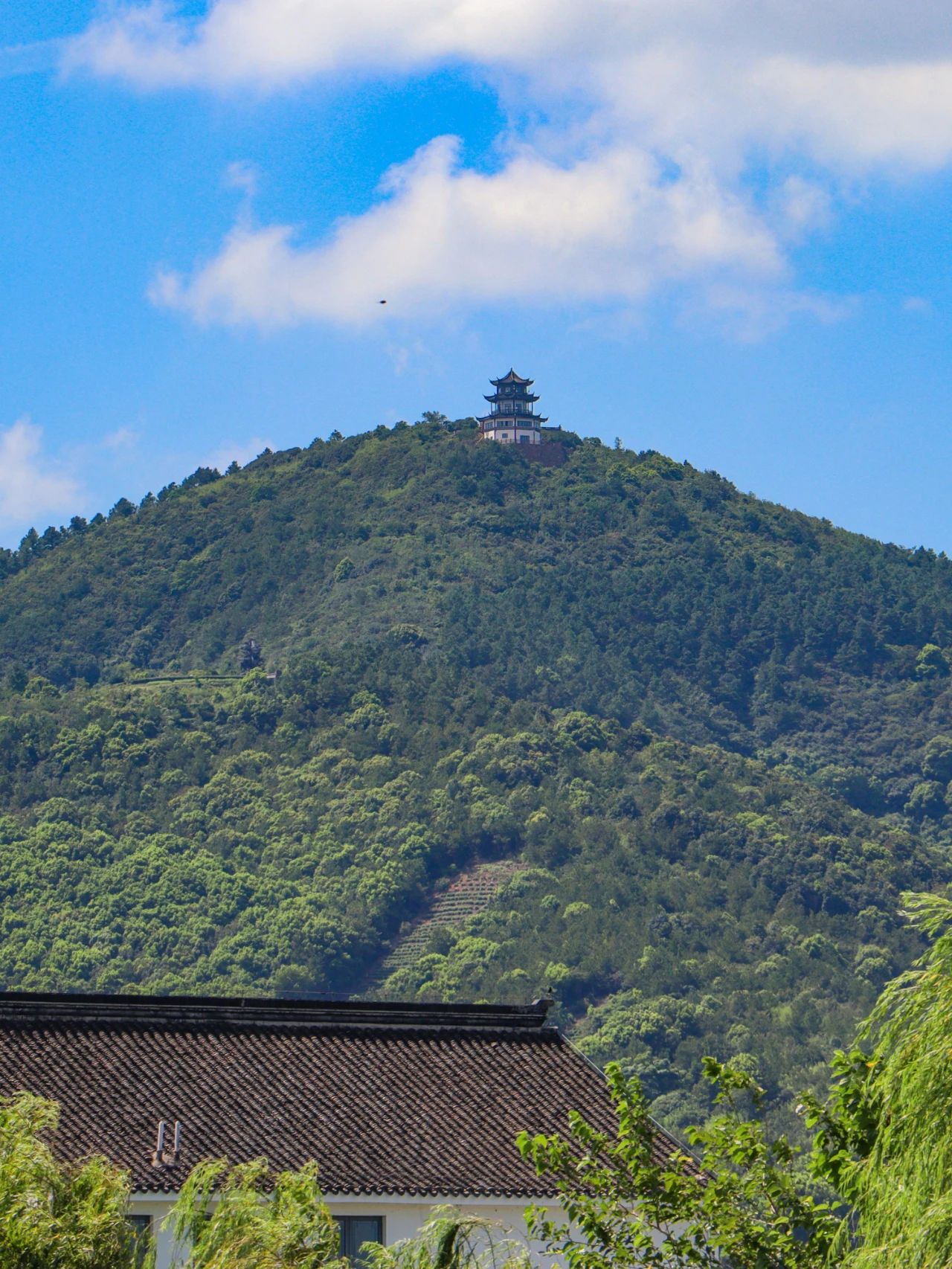西山岛的蓝天白云，无需滤镜的美！