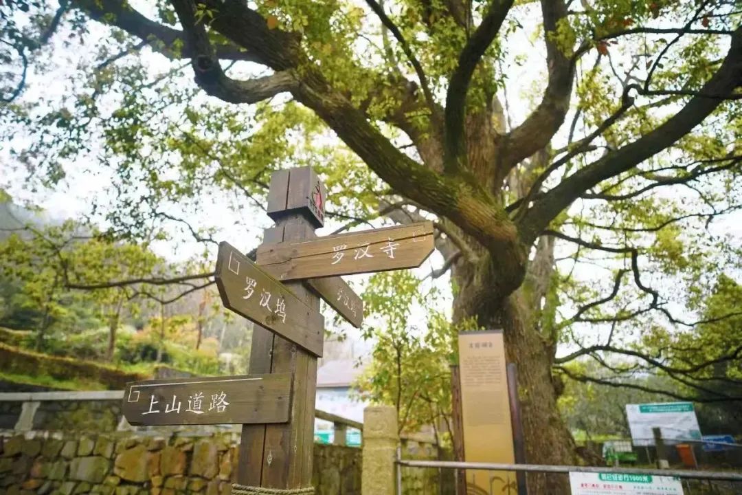 太湖上的“夏威夷”~