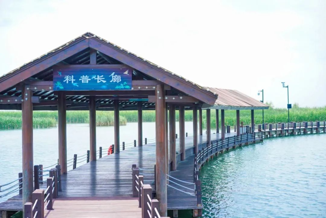 苏州太湖湖滨国家湿地