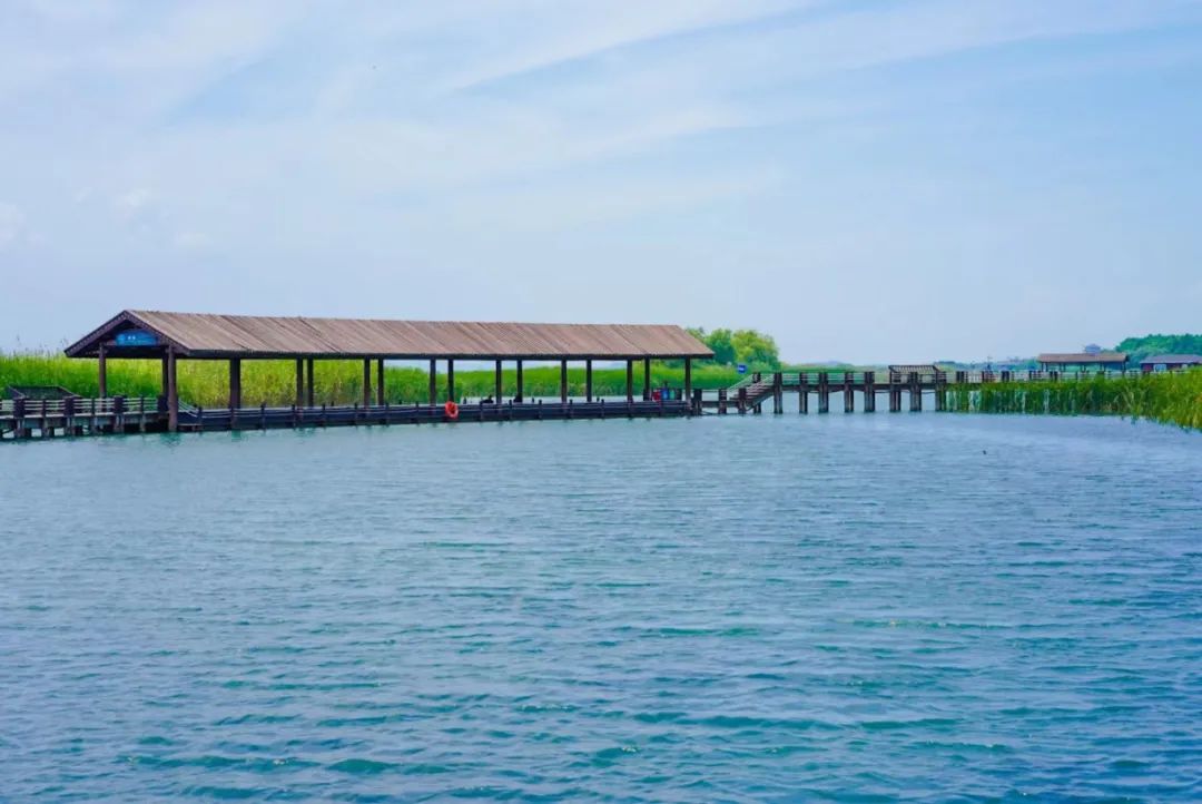 苏州太湖湖滨国家湿地