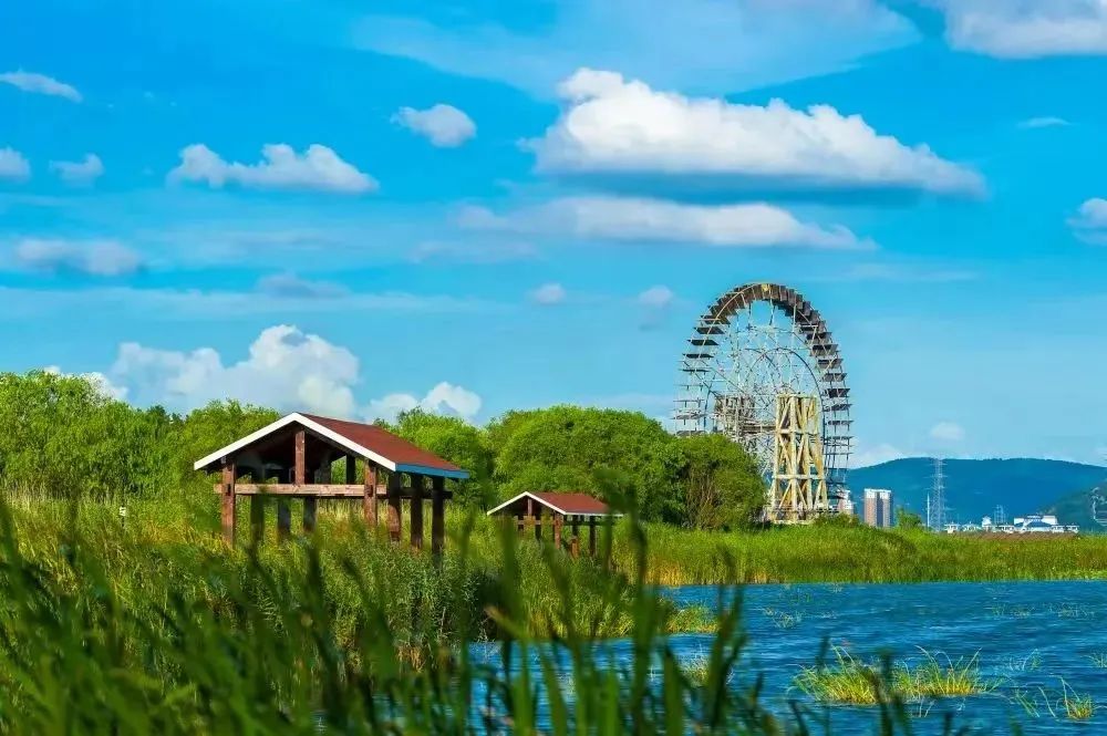 苏州太湖湖滨国家湿地
