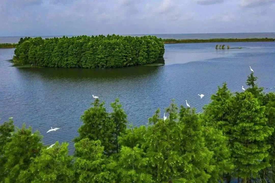 水映长滩生态湿地