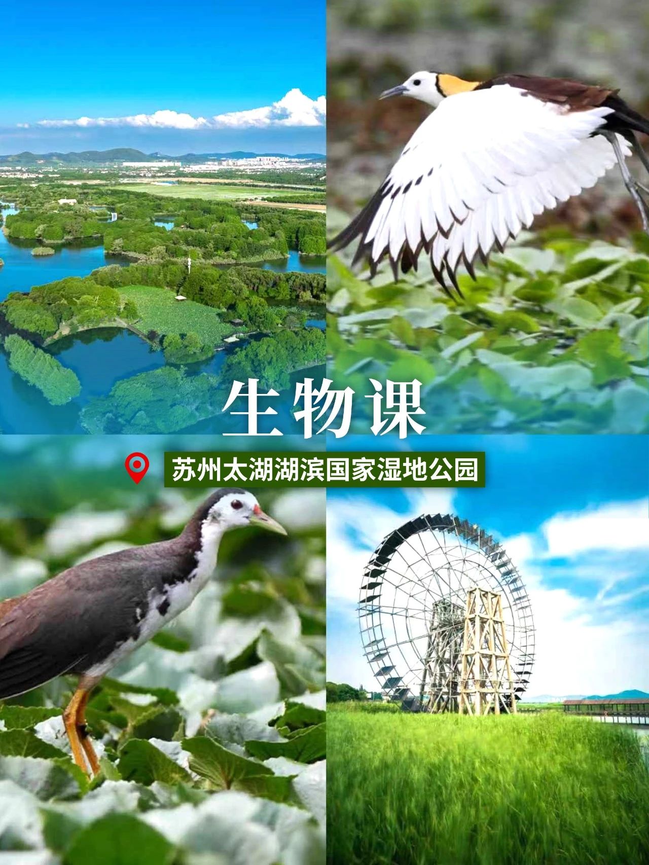 太湖喊你收“开学礼”啦！立刻出发~