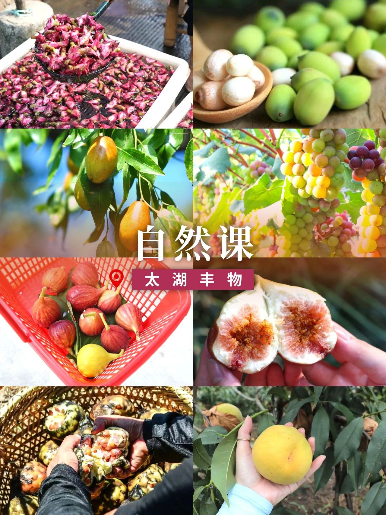 太湖喊你收“开学礼”啦！立刻出发~