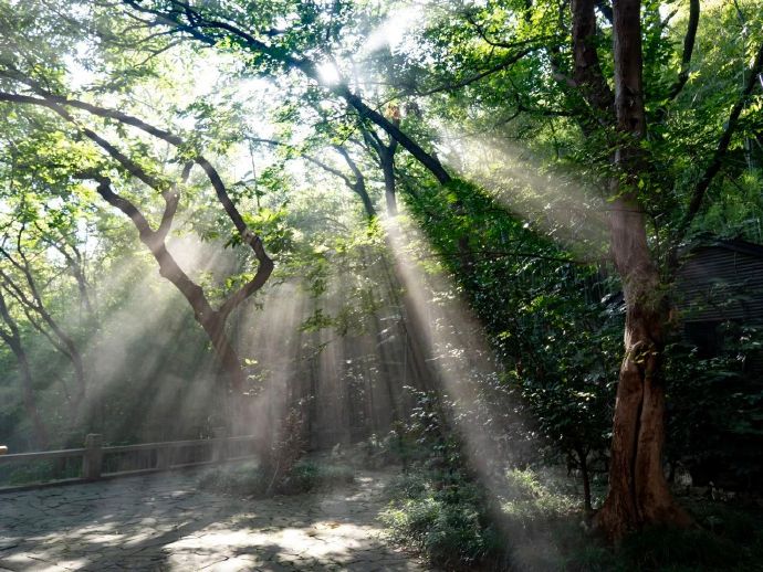央视《大宋词人传》开拍！取景地居然在