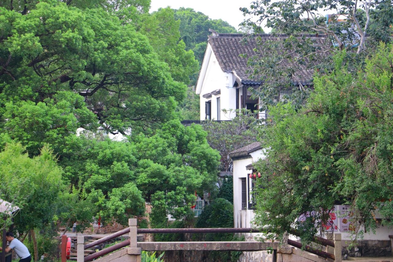 离开浪浪山，来西山岛！