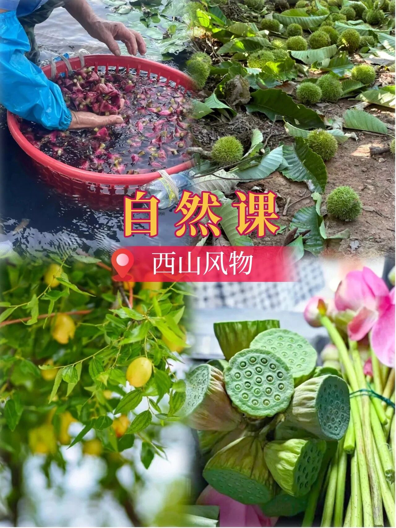 西山岛“开学礼”来啦！