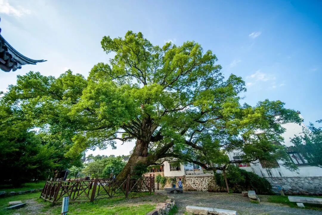 来没有天花板的太湖尽情深呼吸吧