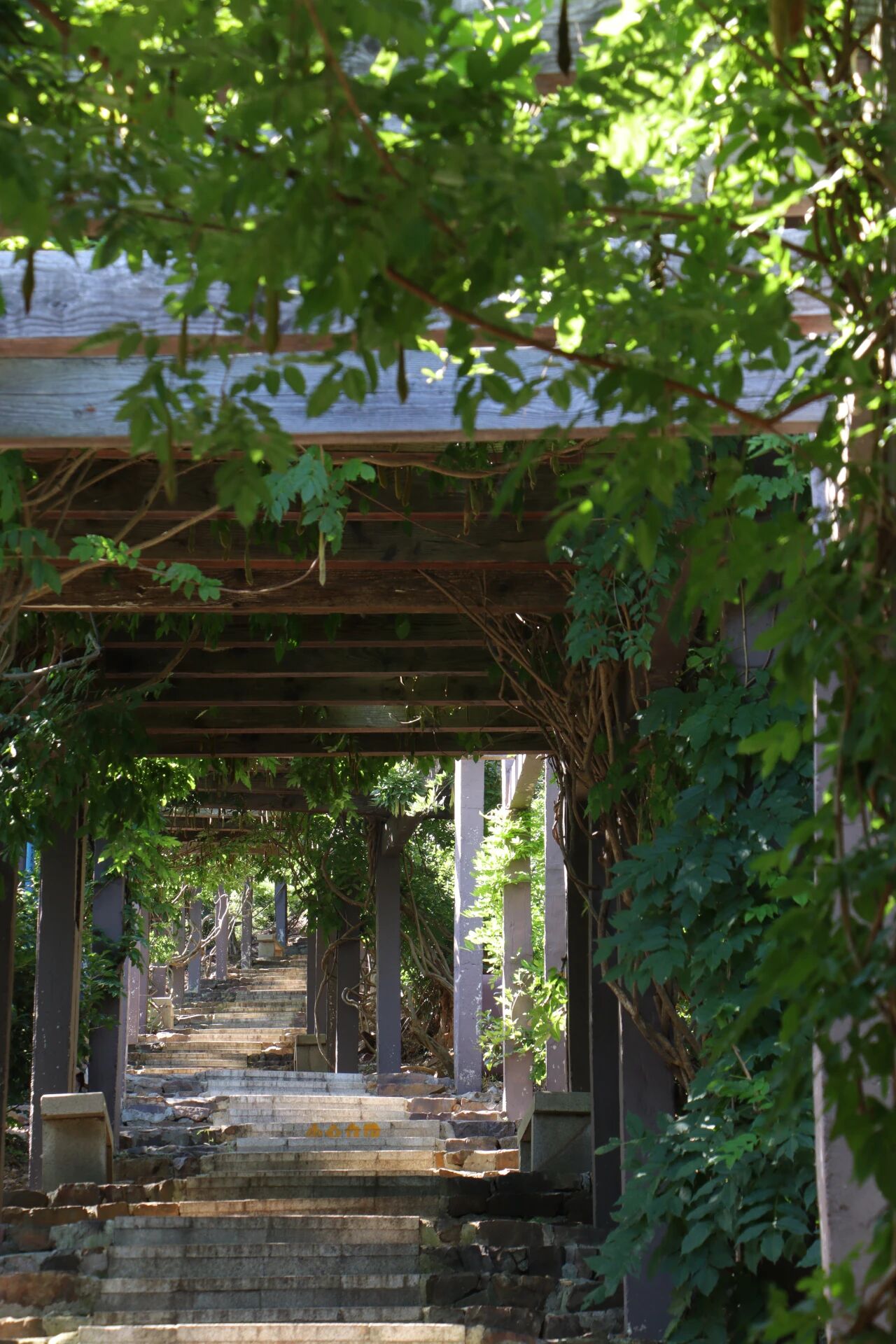 初秋来西山岛“吸氧”吧~