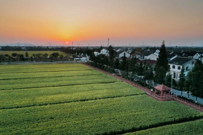 太湖1号公路临湖段&太湖新城段：一条公路串起太湖最美风景~