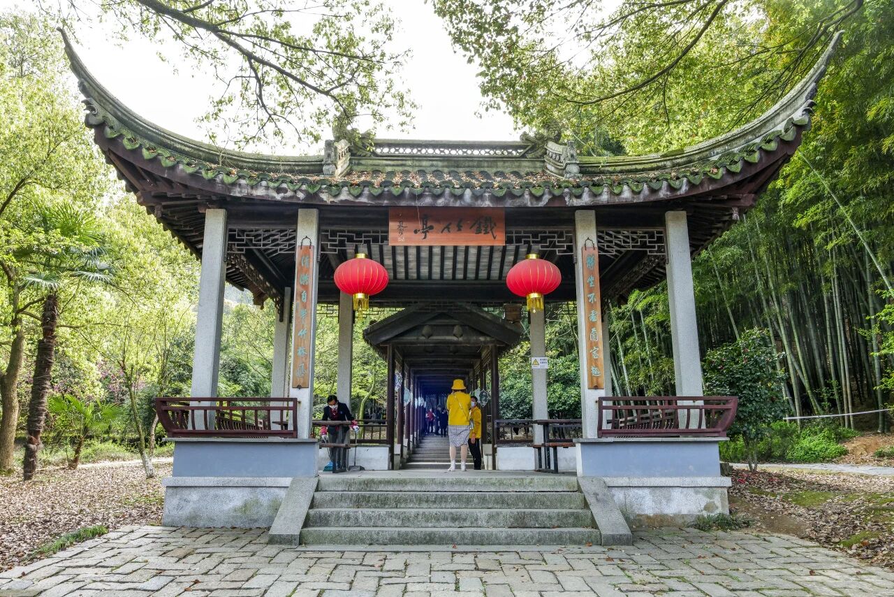 这条私藏线路请get
