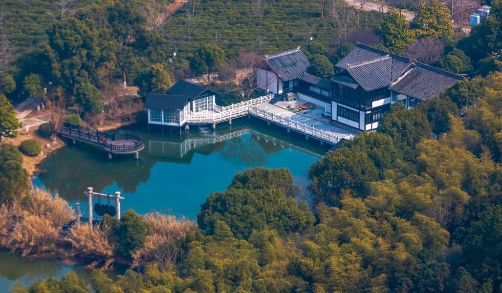 茶田里的亲子乐园与山野徒步