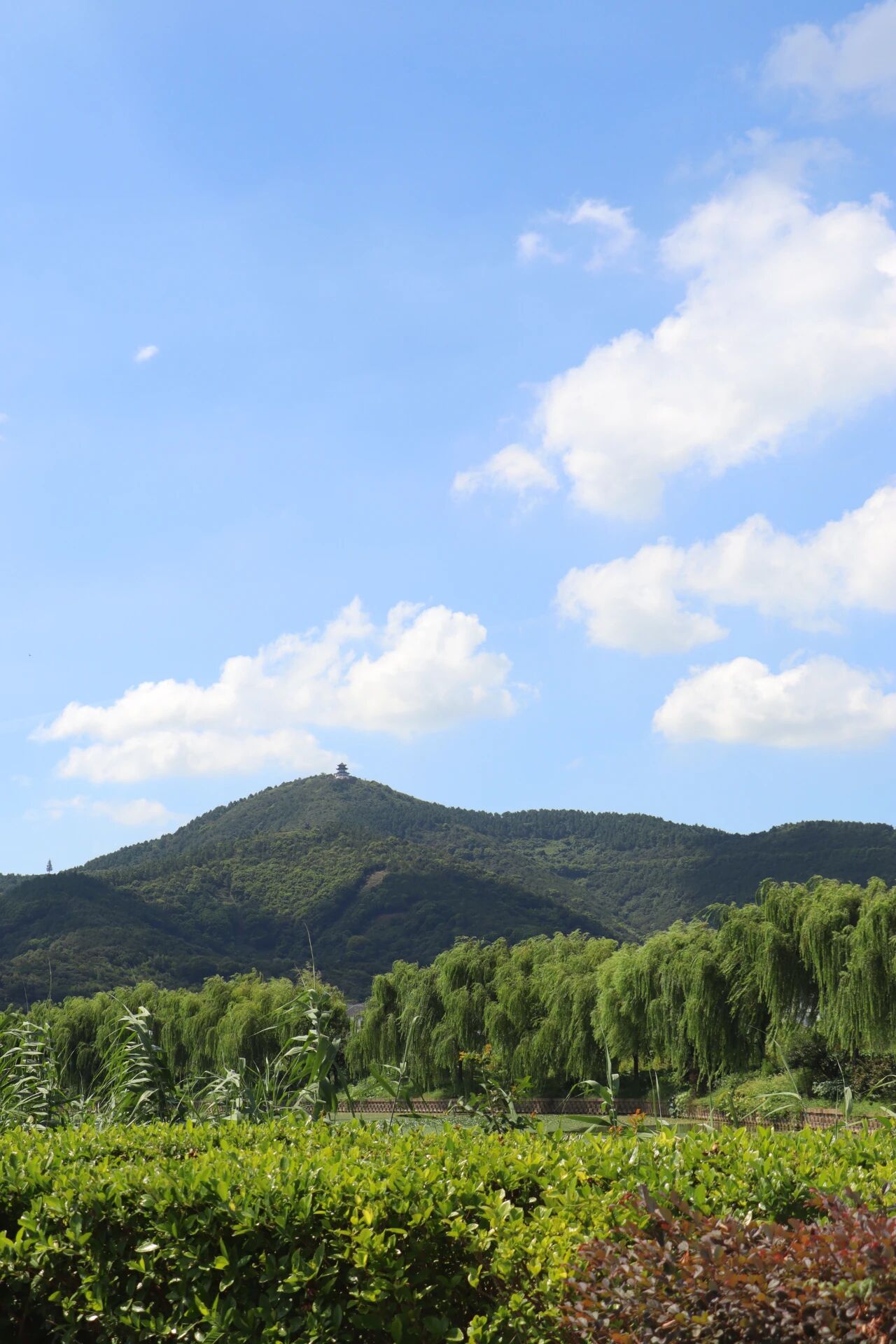 初秋，来西山岛见一面吧