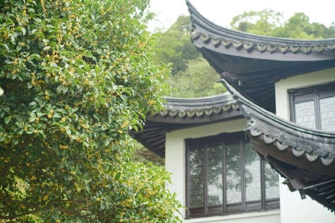 寻香吴中，收藏这份限定版秋天~