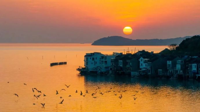 出炉！2025太湖观鸟最佳点位！
