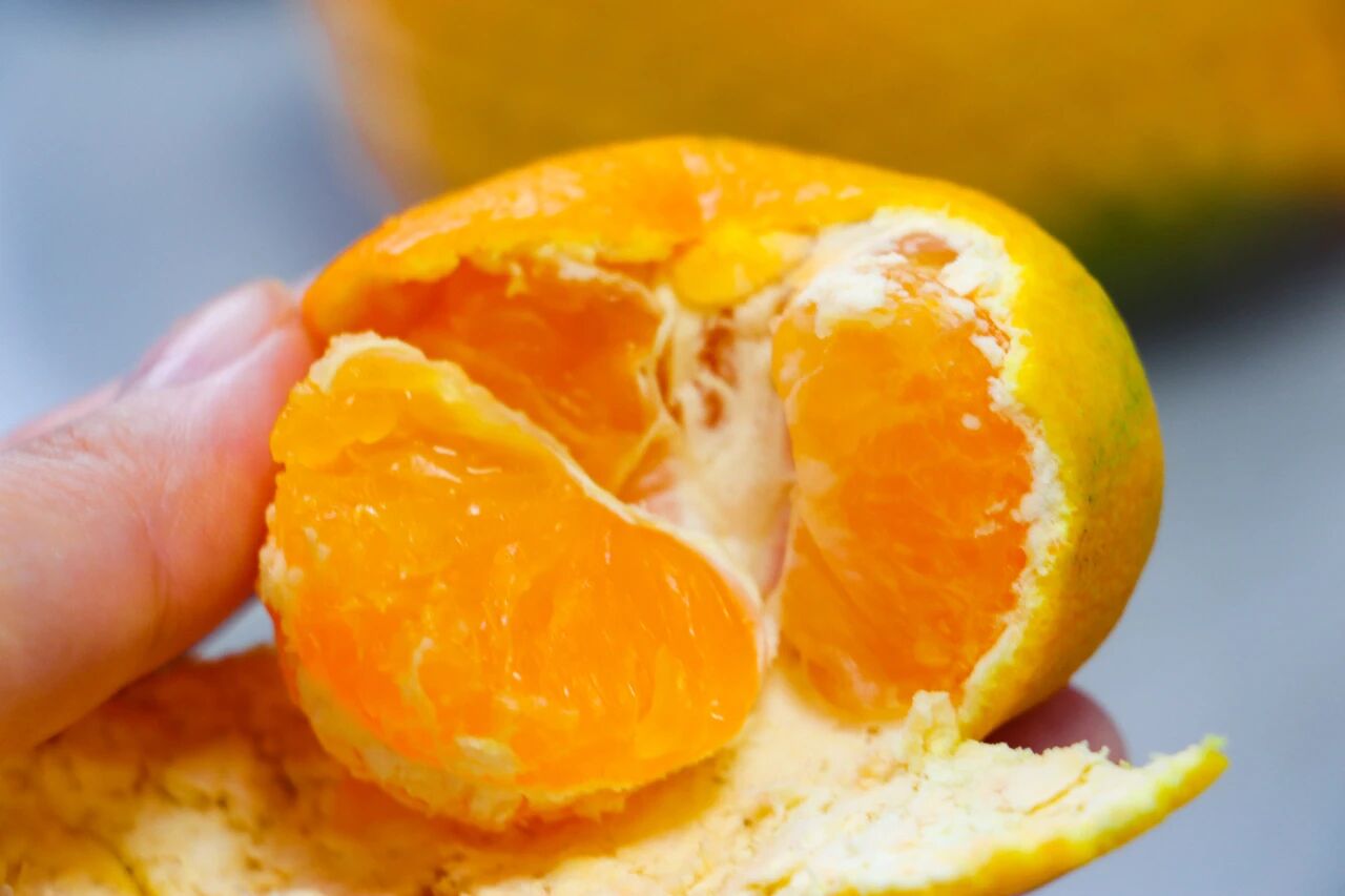 好吃！爱吃！到西山岛摘一枚“酸甜多汁”