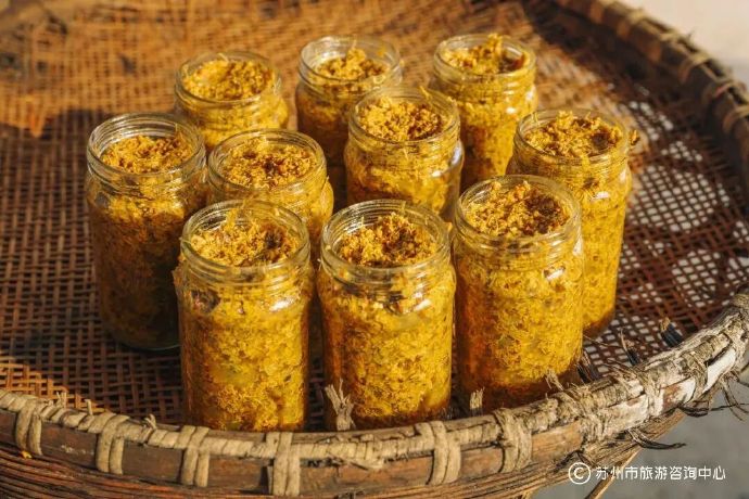 这条太湖观鸟路线，安利！