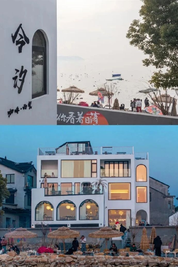 这条太湖观鸟路线，安利！