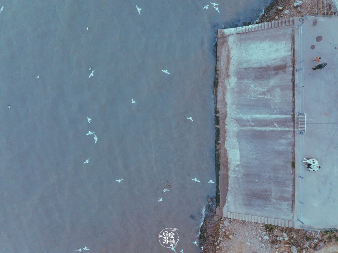 跟着这条线路观鸟去！