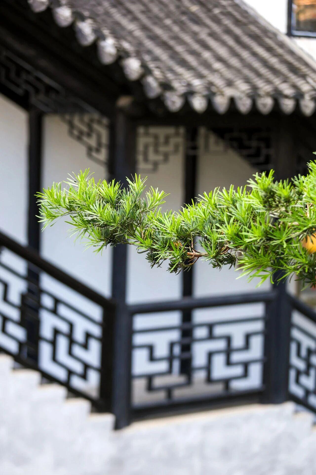 木渎秋韵，渐入佳境