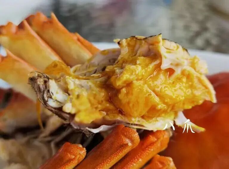 不时不食，尽品秋滋味