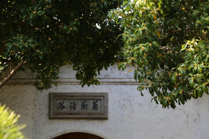 在木渎等一场桂花雨：风说故事，花落成诗