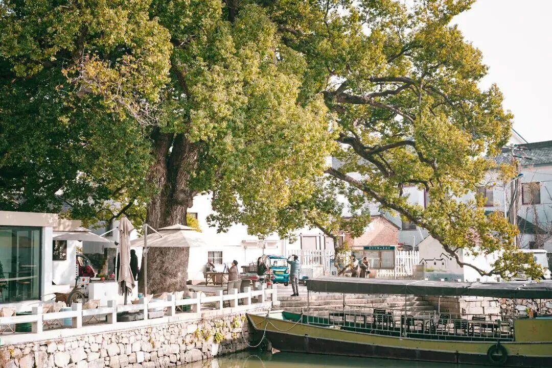 跟着这条线路，上岛观鸟去~