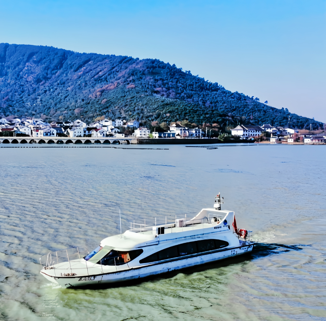 跟着这条线路，上岛观鸟去~