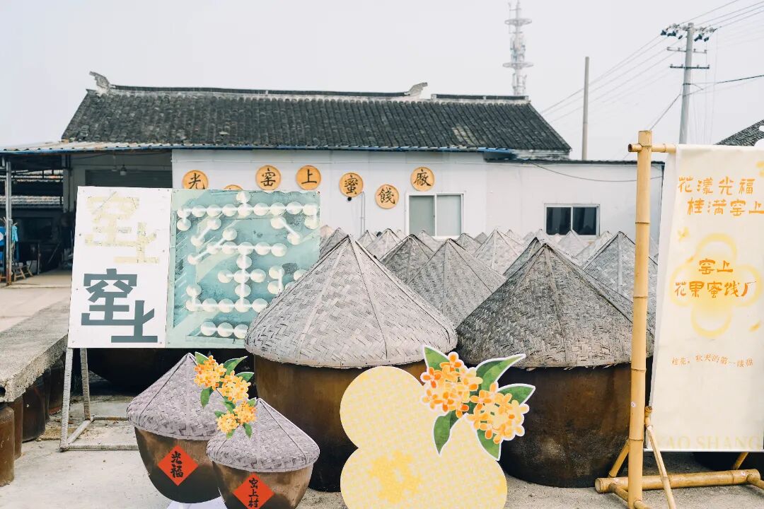 一日漫游，邂逅吴中最甜桂花季~