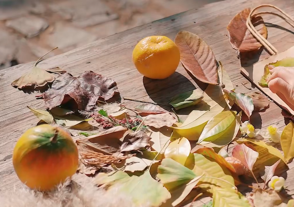 去西山岛“捡秋”吧！