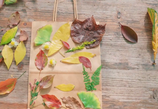 去西山岛“捡秋”吧！