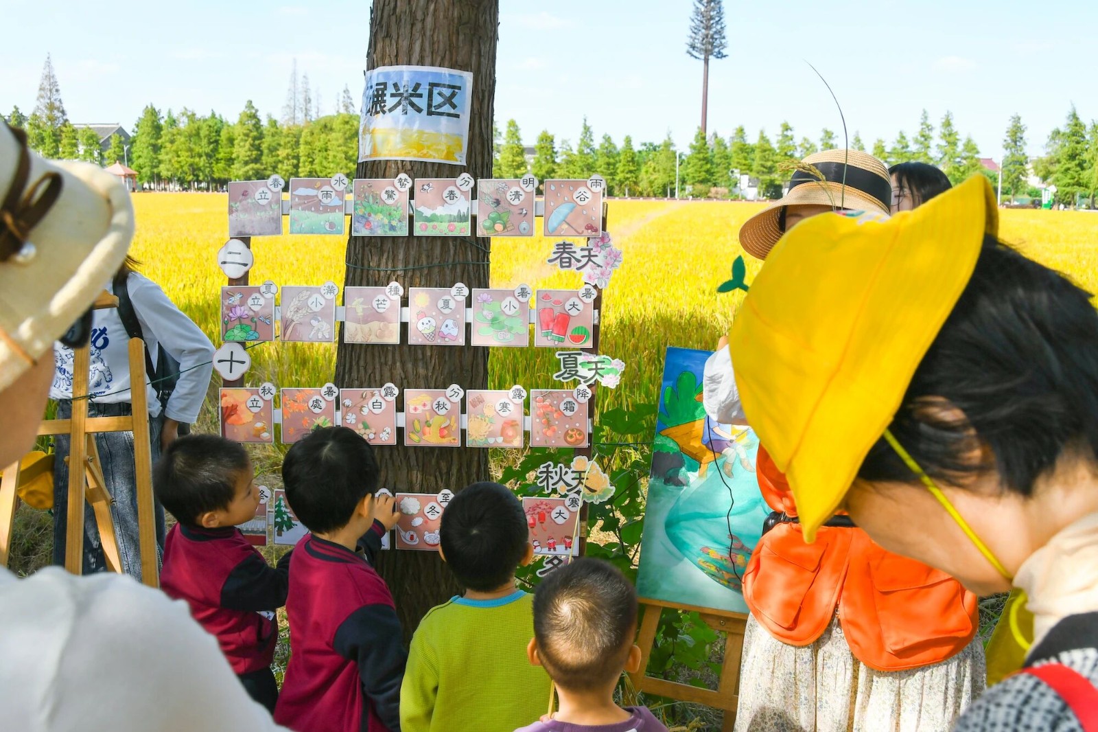 金秋开镰！暖村第一口新米即将上市~