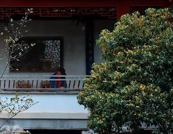 美！西山雕花楼进入“浪漫时间”~