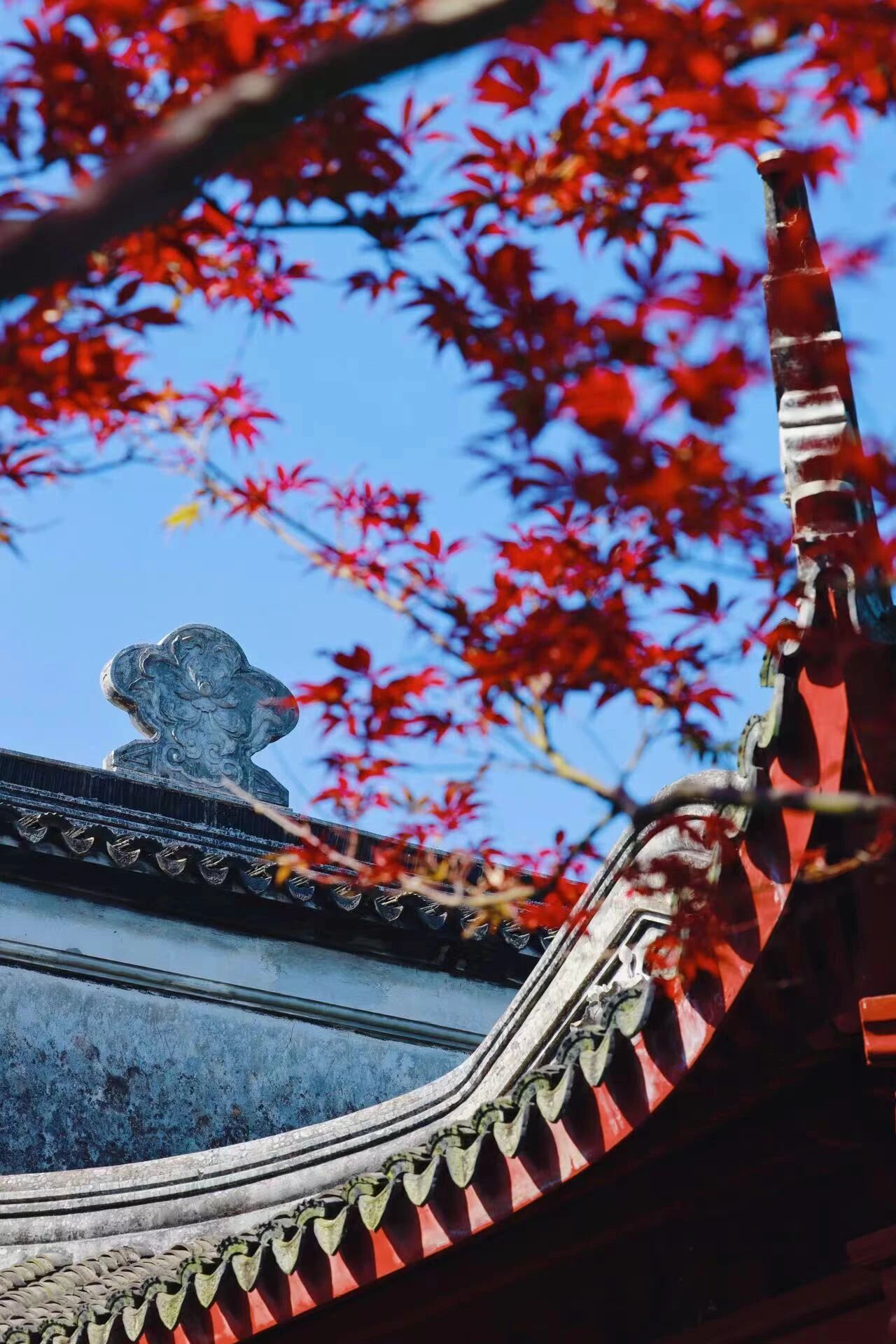 美！西山雕花楼进入“浪漫时间”~