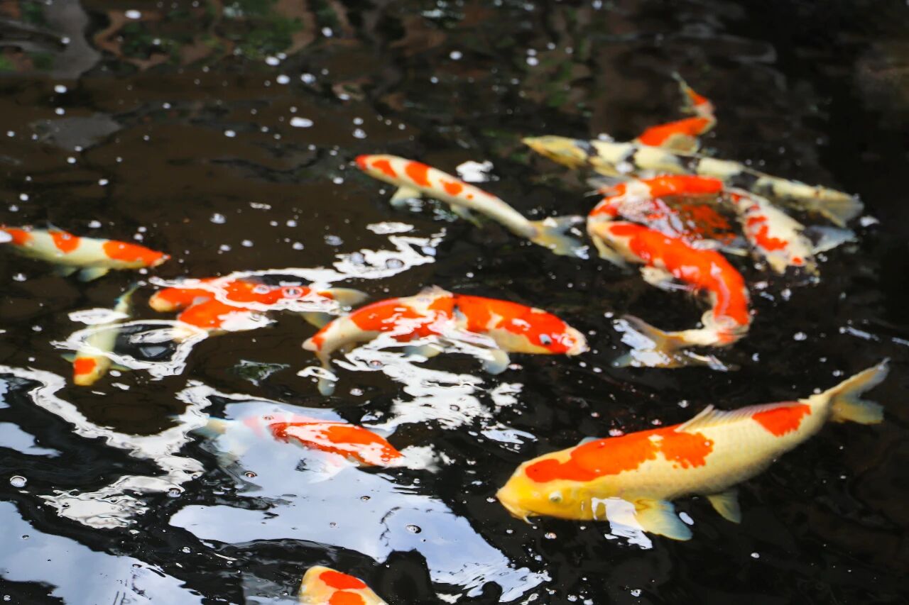 美！西山雕花楼进入“浪漫时间”~