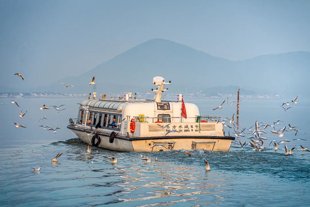 3条观鸟专线，邂逅“白色精灵”