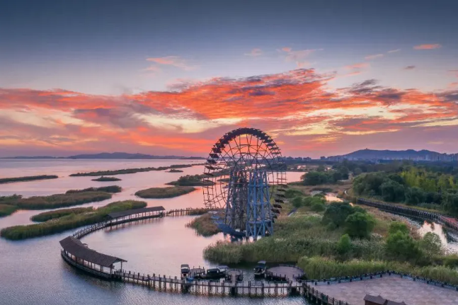 3条精选观鸟线路,自在畅游!