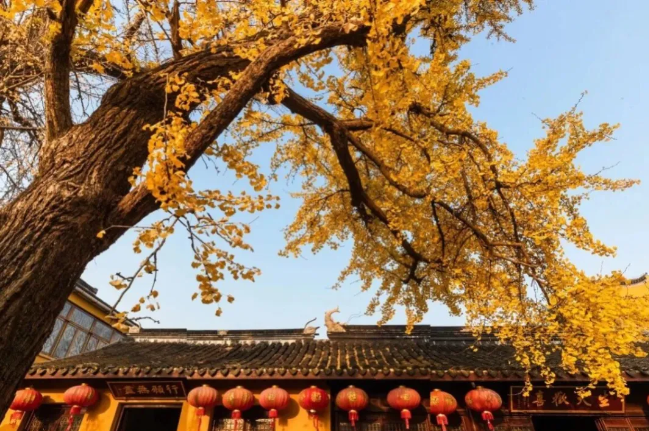 3条精选观鸟线路,自在畅游!