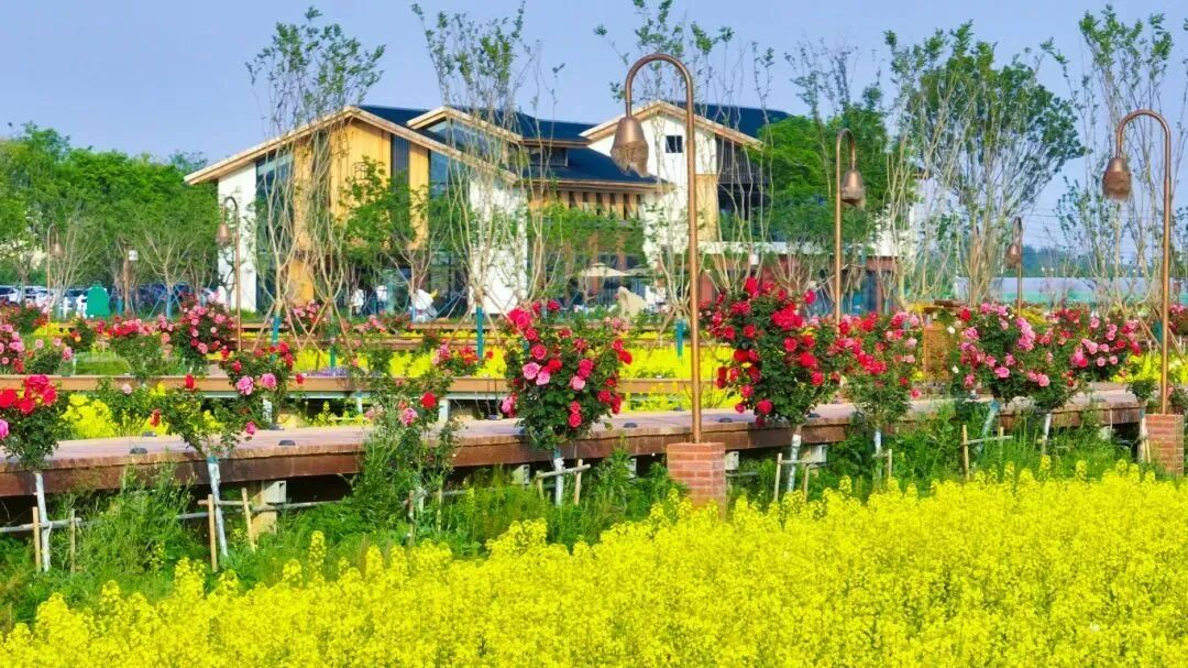 宿城：花开不只春，宿城花间游集锦