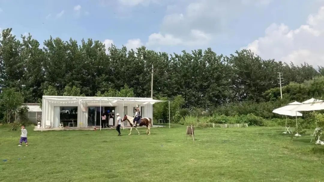 宿城:奇妙“乡”遇,“宿”造田园好时光