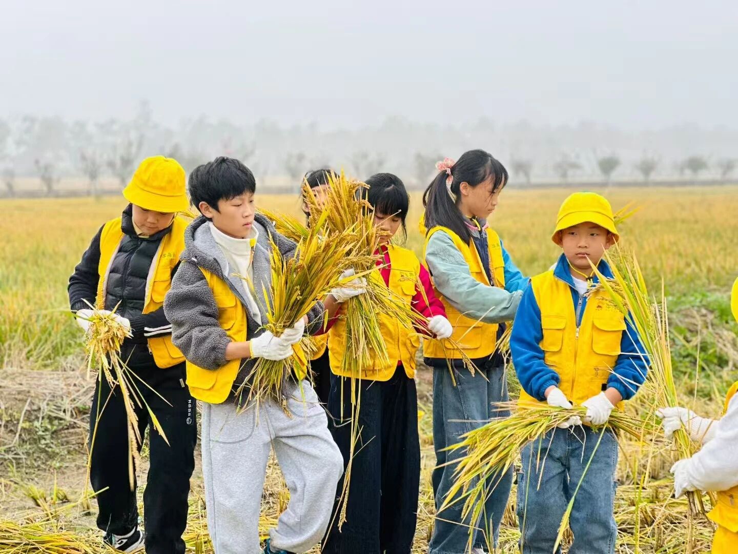 宿城：来宿城，解锁N种田园撒欢方式！