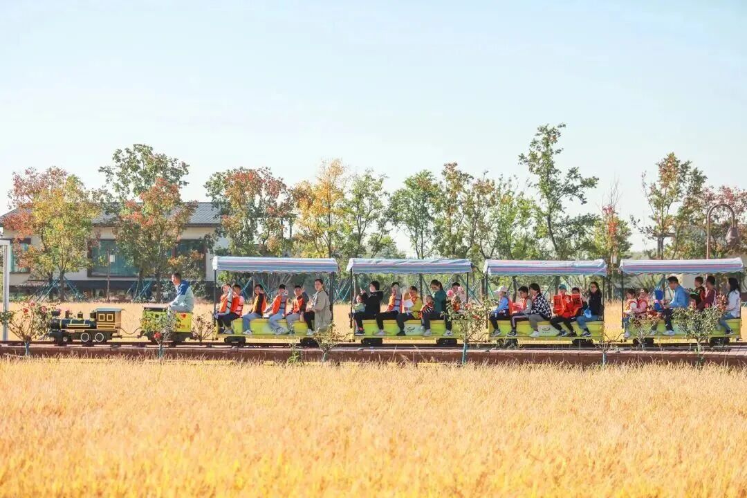 宿城：来宿城，解锁N种田园撒欢方式！