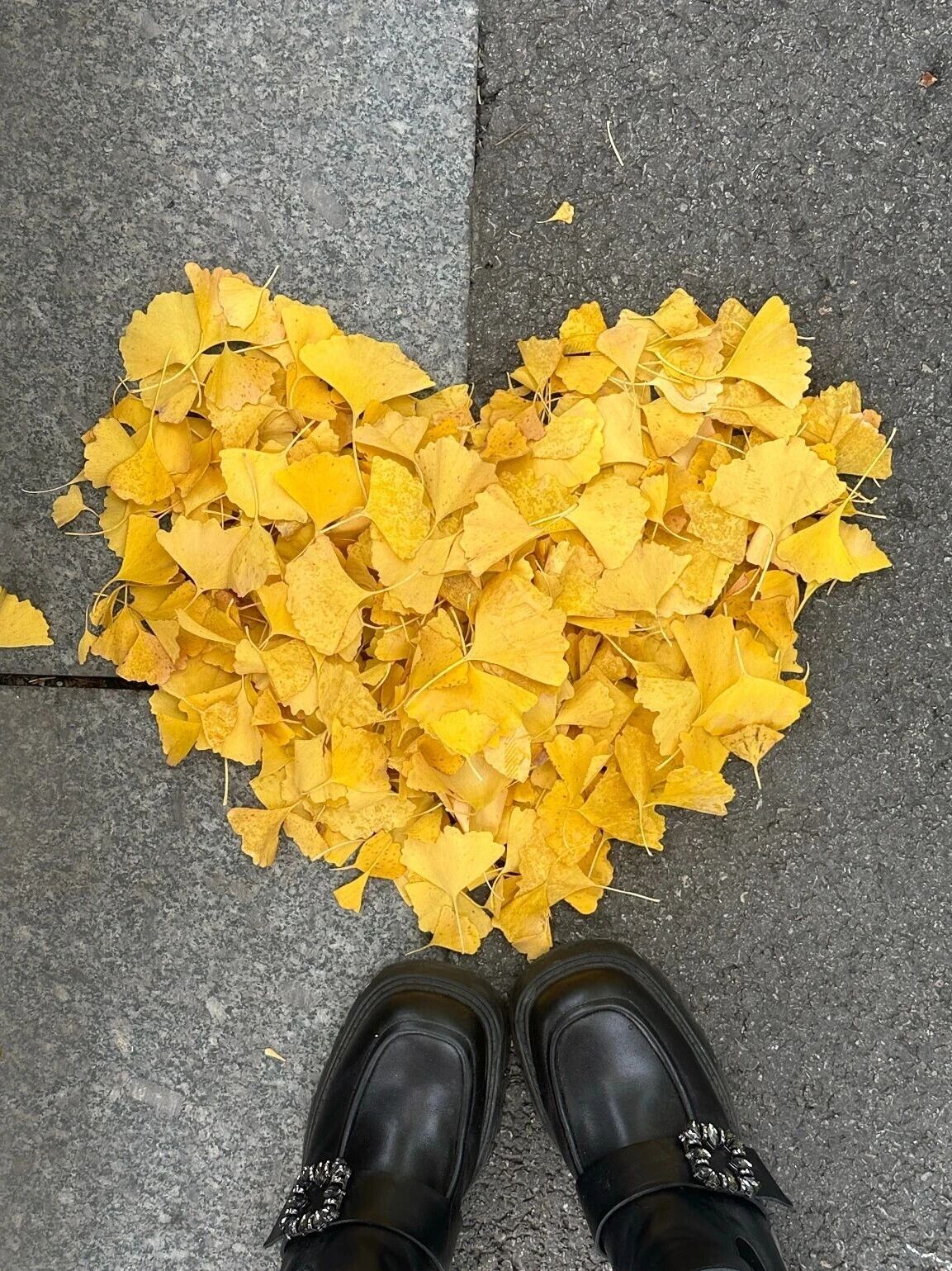 宿城：绝美！走，打卡去！