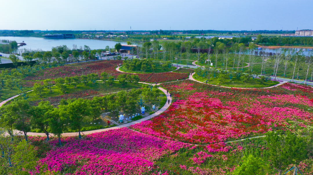 宿城：gogogo出发咯~来宿城奔赴花事浪漫