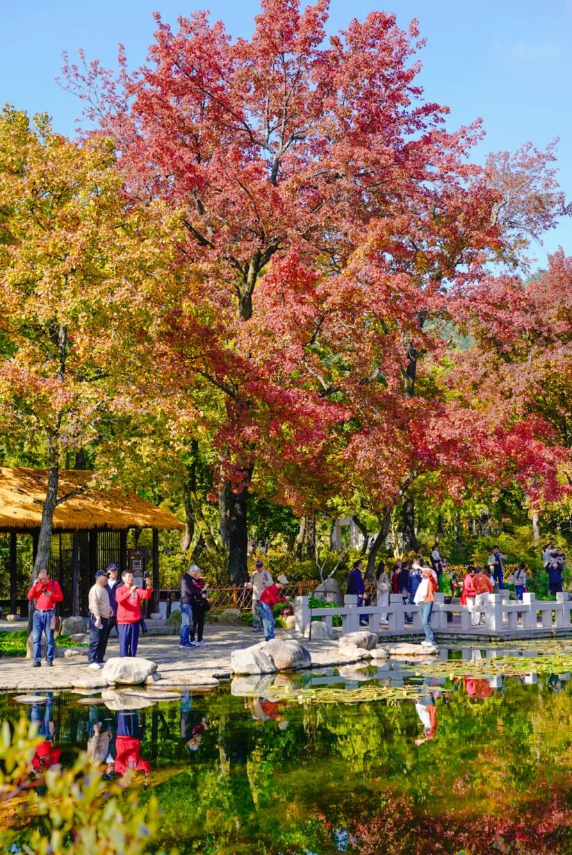 红了！一篇全搞定！一票游吴中！