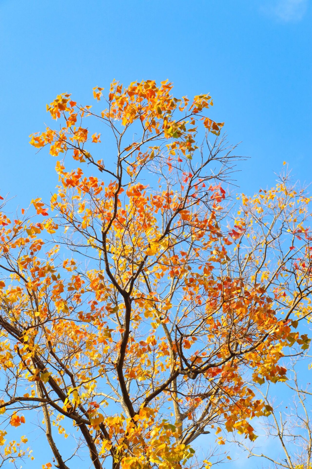 秋日来信，一起“趣”寻秋~