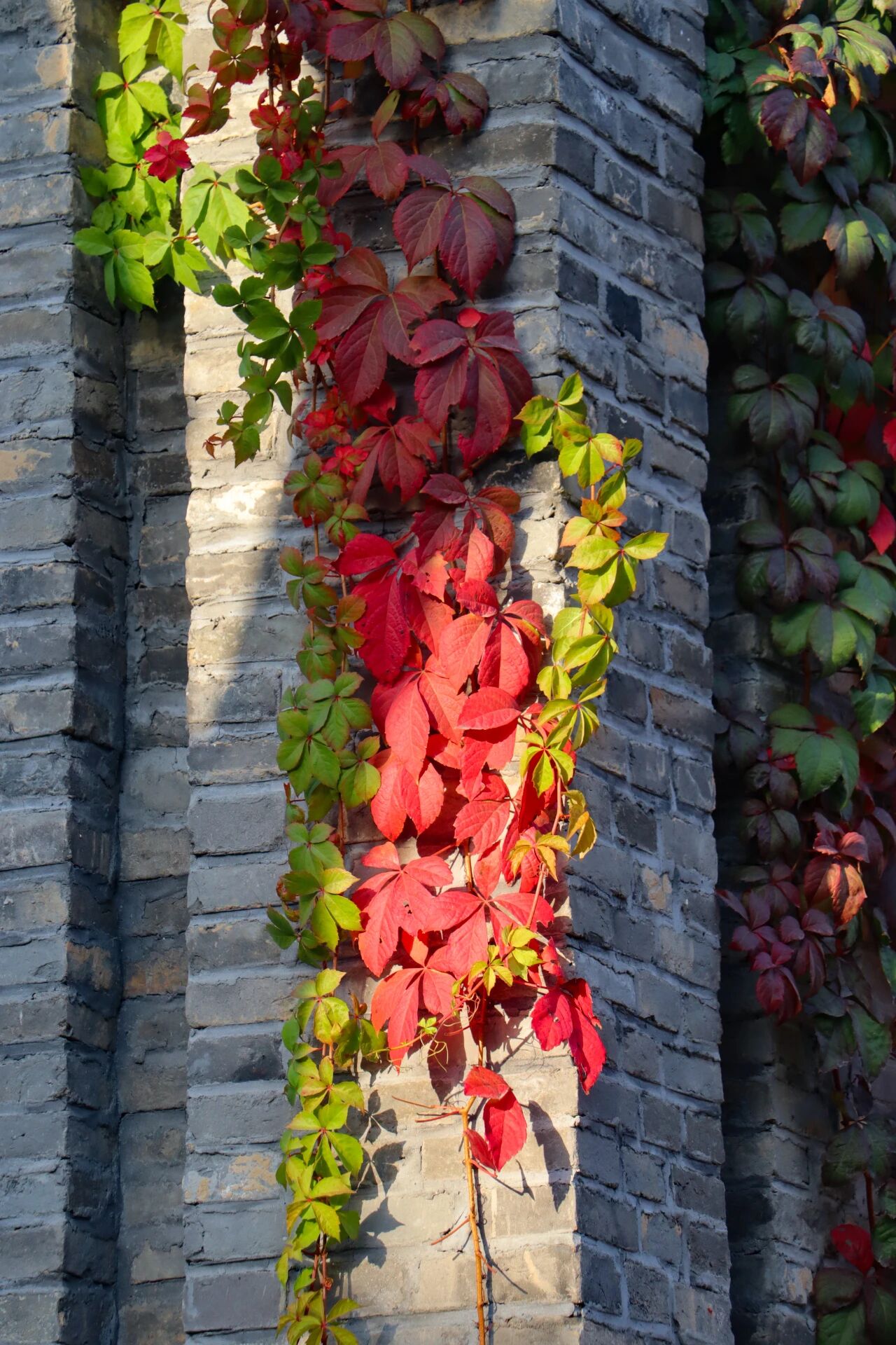 秋日来信，一起“趣”寻秋~