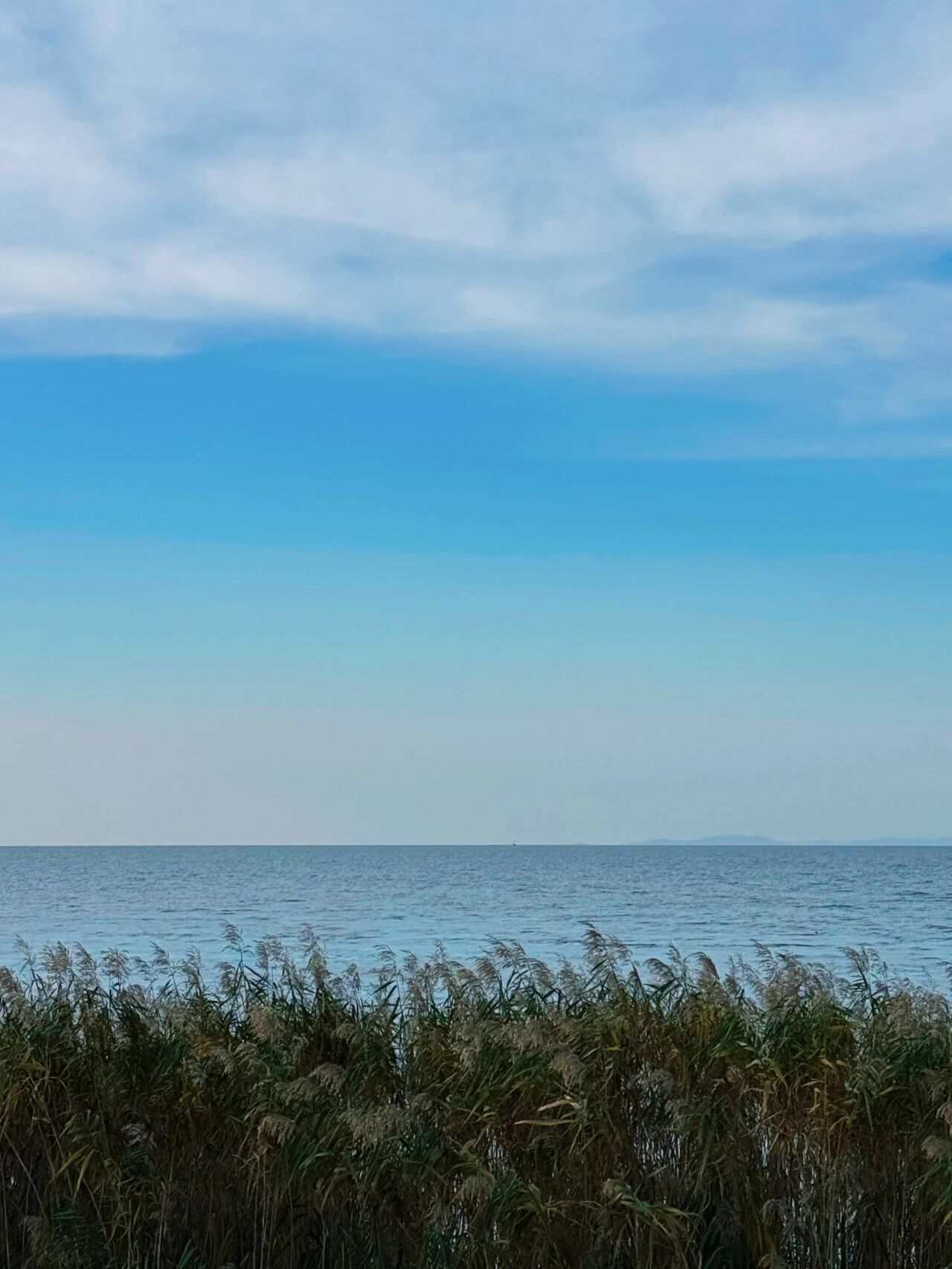 秋日来信，一起“趣”寻秋~