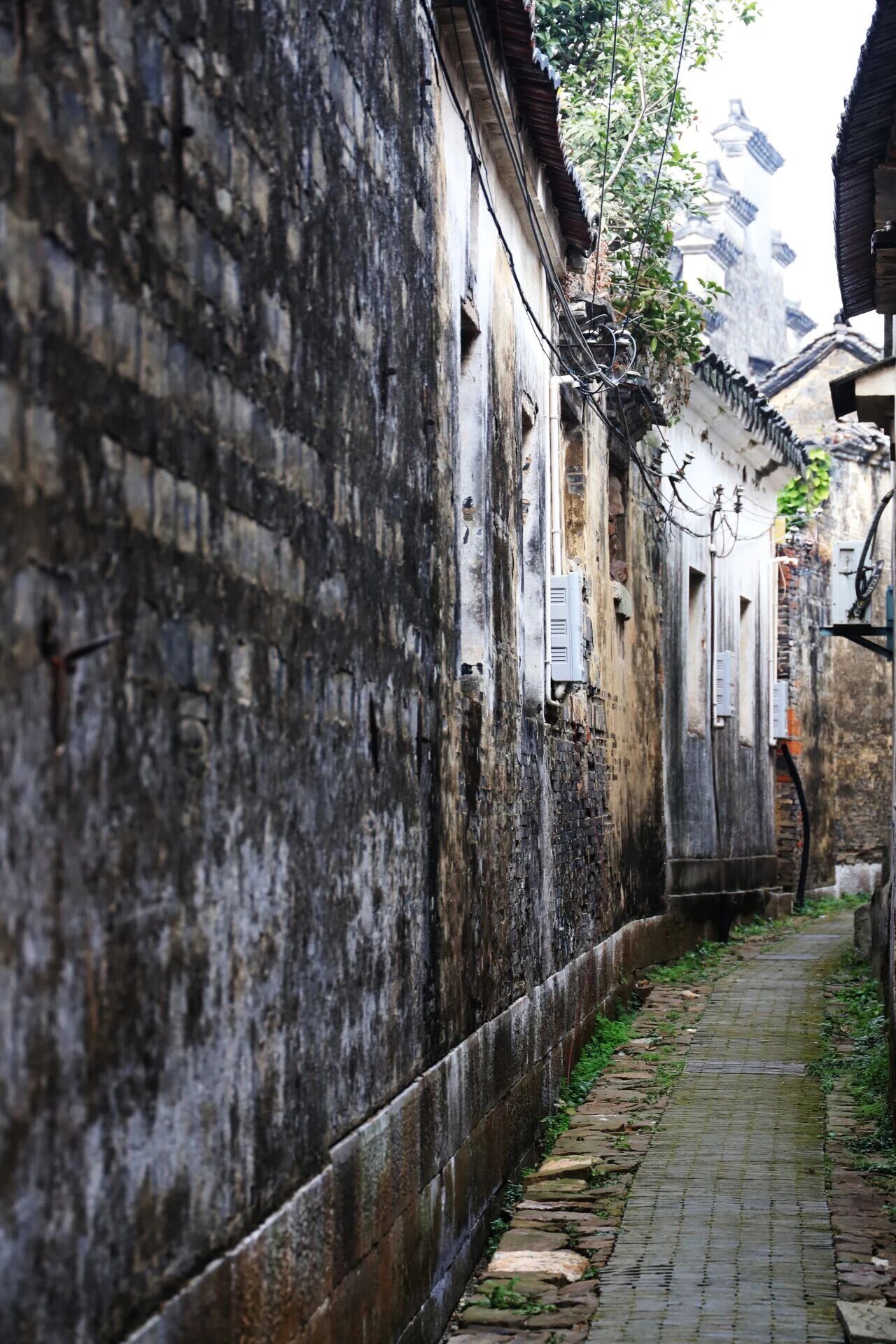 秋骑限定！解锁西山岛治愈骑行路线～